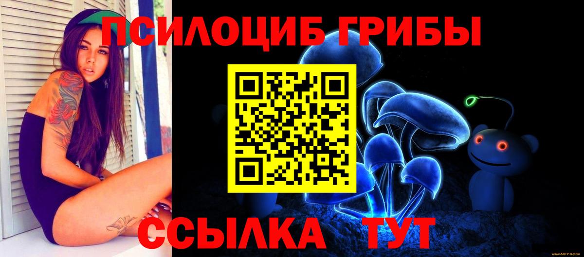 Черногорск  Псилоцибиновые грибы мухоморы  Галлюциногенные грибы мухоморы  Вход с VPN 